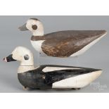 Pair of Maine carved and painted golden-eye duck decoys, 20th c., 14 1/2" l. Original paint with