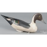 Contemporary carved and painted pintail duck decoy, 18" l. Good condition with no apparent damages