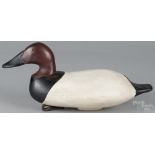 Contemporary carved and painted canvasback duck decoy, 17" l. Good condition with no apparent