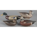 Four contemporary carved and painted duck decoys, to include three signed Frederick C. Brown Jr. and