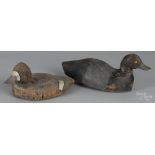 Two carved and painted duck decoys, mid 20th c., one with a cork body, 14 1/4" l. and 11 3/4" l.
