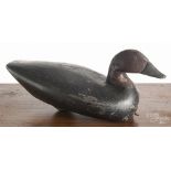 Carved and painted canvasback duck decoy, early 19th c., 17" l. Neck crack with nails added,