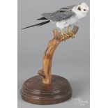 Carved and painted Peregrine Falcon, signed Bob Gittens and dated 1979, 16 1/2" h. Two small chips