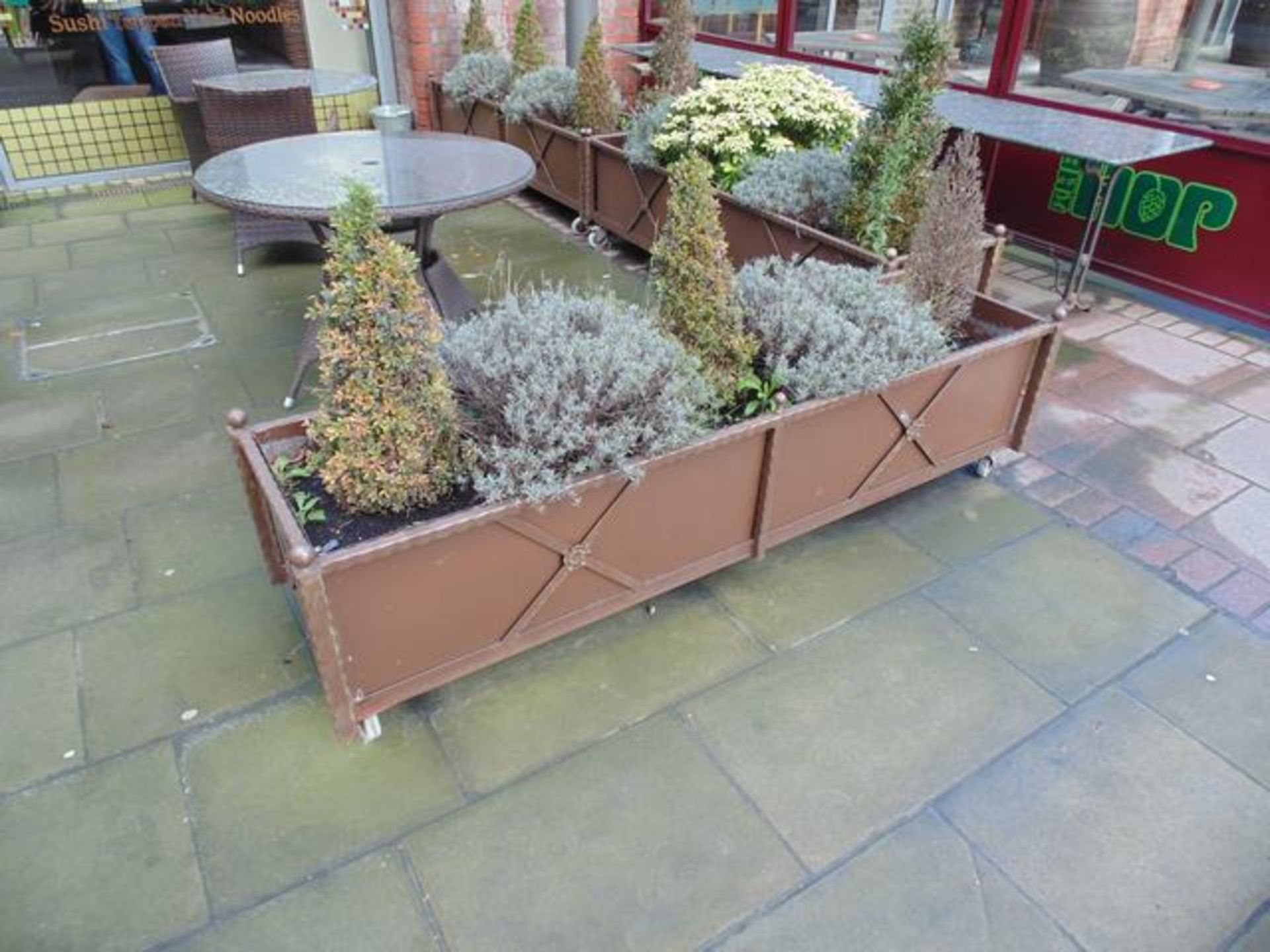 Steel framed mobile trough planter 2050mm x 550mm x 550mm