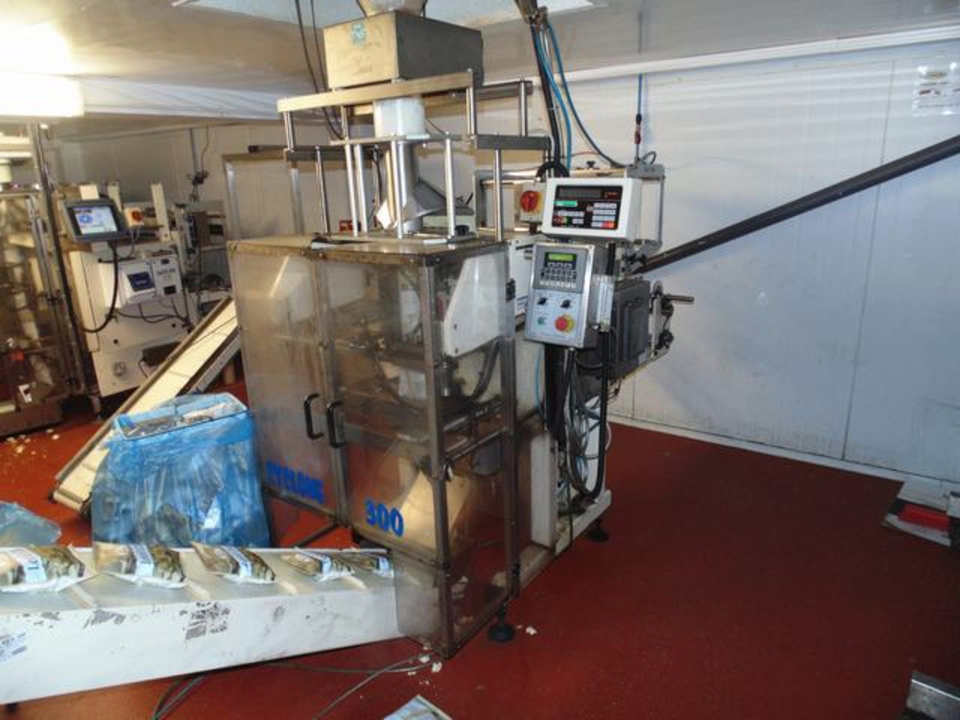 Cyclone 300 Vertical Form Fill And Seal Machine Bags Maximum 300mm X 400mm Standard Pillow Bag, - Image 3 of 3