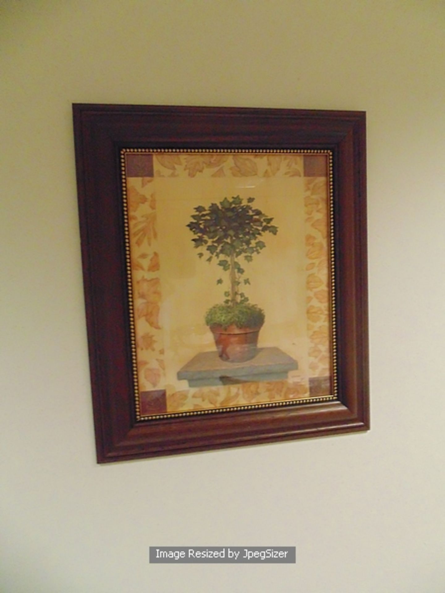 A topiary print in dark wood frame 560mm x 660mm