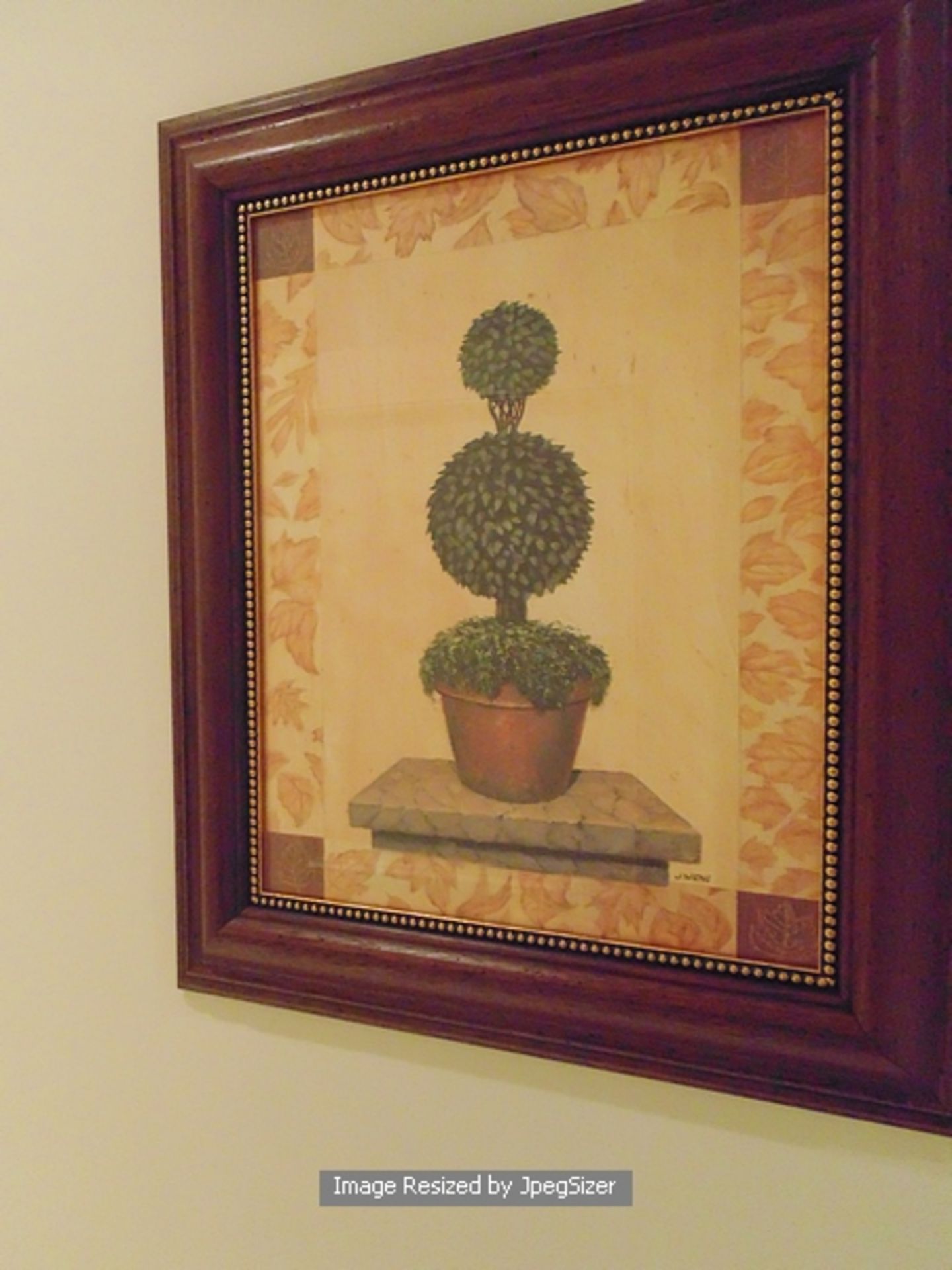 A pair of topiary prints in wooden frame 560mm x 660mm