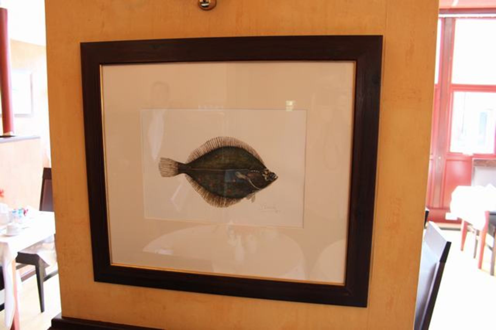 Framed artwork depicting a Plaice fish signed D Galbraith 98 780mm x 680mm  Lift out charge  5