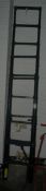 12 Step Telescopic Ladder