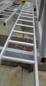 15 Step Ladder