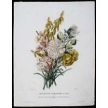 Blumenbukett "XLX". Vincent-Chapuy/3 Bll
Blumenbuketts. "Bouquets composés No. XLX". Gebinde aus