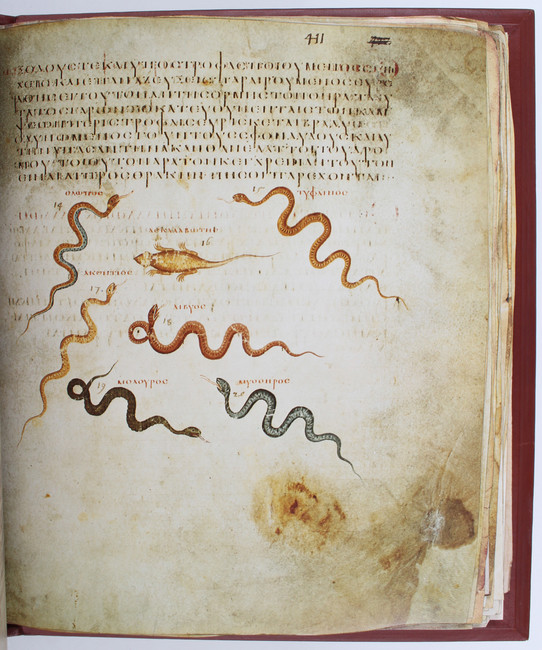 Dioscurides Vindobonensis. Faks. 3 Bde.
Faksimiles. - Dioscurides. Codex Vindobonensis Medicus - Image 2 of 3