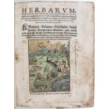 Herbarum. Egenolff (1552)
Herbarum, arborum etc. ... imagines / Kreutter, Bäume, Gesteude, unnd