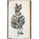 Jacquin, Observationum botanicarum
Jacquin, N. J. v. Observationum botanicarum iconibus ab auctore