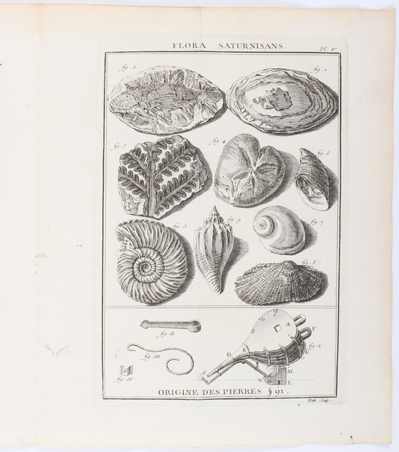 Henckel, Pyritologie
Henckel, J. F. Pyritologie, ou histoire naturelle de la Pyrite ... on y a joint - Image 4 of 6