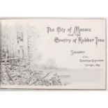 The City of Manaos. 1893
Brasilien. - The City of Manáos and the Country of Rubber Tree. Souvenir of
