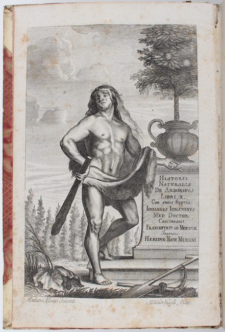 Jonston, Historiae naturalis. 2 Bde.
Jonston, J. Historiae naturalis de arboribus et plantis libri - Image 5 of 5