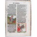 (Ortus sanitatis), Fragment. (1511?)
Hortus sanitatis. - (Ortus sanitatis. Venedig, B. Benalio und