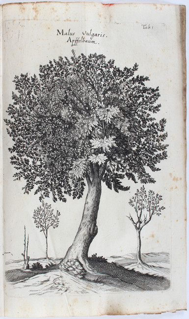 Jonston, Historiae naturalis. 2 Bde.
Jonston, J. Historiae naturalis de arboribus et plantis libri