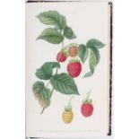 Noisette, Le jardin fruitier. 2 Bde.
Früchte. - Noisette, L. Le jardin fruitier. 2e éd.,