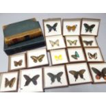 A volume of 'Butterflies and Moths of Europe' by W.F. Kirby, together with further books on