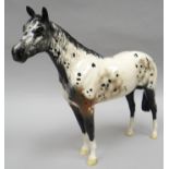 A Royal Doulton standing sculpture of a dappled brown and white horse 'Apaloosa' in gloss finish