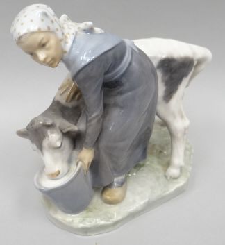 A Royal Copehagen porcelain model of a scarf wearing girl feeding a grey and white calf, on a