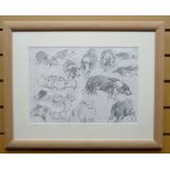 PENCIL DRAWING: Aneurin Jones - series of sheepdog studies on one sheet, signed, 11 x 15.5 ins (28 x