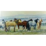 CHARLES FREDERICK TUNNICLIFFE coloured print - group of eight ponies, 13 x 27 ins (33 x 69 cms)