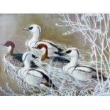 CHARLES FREDERICK TUNNICLIFFE coloured limited edition (489/500) print - wading ducks, signed in