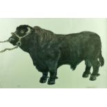 SIR KYFFIN WILLIAMS RA artist’s proof coloured print - Welsh Black Bull, signed in full, 16 x 24 ins