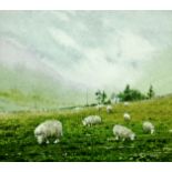 NEIL S HOPKINS watercolour - grazing mountain sheep, signed and dated 1991, 3.75 x 3.5 ins (8 x 9