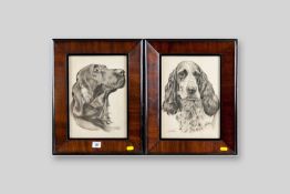 FRANKLIN charcoal studies, a pair - heads of dogs, signed, 12 x 8.5 ins (30 x 22 cms)