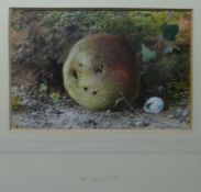 W HUNT watercolour - still life of an apple and shell on a natural bank, signed, 4.25 x 6.25ins (