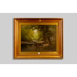 J W STAMPER oil on canvas - wooded river scene, signed and entitled label verso 'River Lledr above