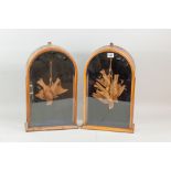 A pair of dome topped mahogany and glass cases containing straw work dead game in possibly