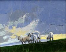PAUL GREER oil on board - entitled verso 'North Wales Sheep on Hill', signed verso and dated 2014, 8