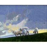 PAUL GREER oil on board - entitled verso 'North Wales Sheep on Hill', signed verso and dated 2014, 8