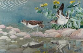 CHARLES FREDERICK TUNNICLIFFE watercolour - a pair of common sandpipers on rocks with reflection