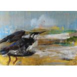 RAY HOWARD JONES mixed media - study of a shearwater in flight, signed and dated 1953, 14.5ins x