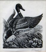 CHARLES FREDERICK TUNNICLIFFE monochrome prints, two - bird studies, signed, 4.5 x 4ins (11 x 10cms)