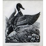 CHARLES FREDERICK TUNNICLIFFE monochrome prints, two - bird studies, signed, 4.5 x 4ins (11 x 10cms)