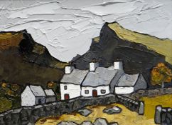 DAVID BARNES oil on board - Snowdonia upland cottages, signed with initials, 10 x 14.5ins (26 x