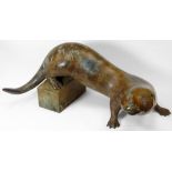 ADRIAN SORRELL patinated bronze sculpture of an enquiring otter, back feet upon block plinth,