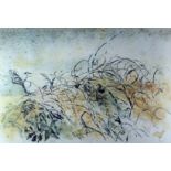 ARTHUR GIARDELLI limited edition (3/100) print of brambles, 15 x 22 ins (38 x 56 cms), initialled
