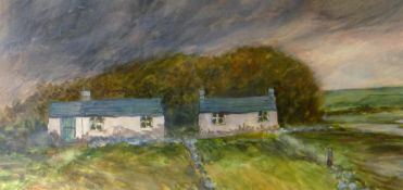 GLEN SELDON watercolour/mixed media - two Caernarfonshire cottages, signed and dated '07, 19 x 38