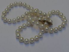 A strand of cultured pearls