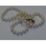 A strand of cultured pearls