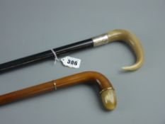 A gent's walnut topped cane with cabouchon horn tip and yellow metal ring mounts, 92 cms and an