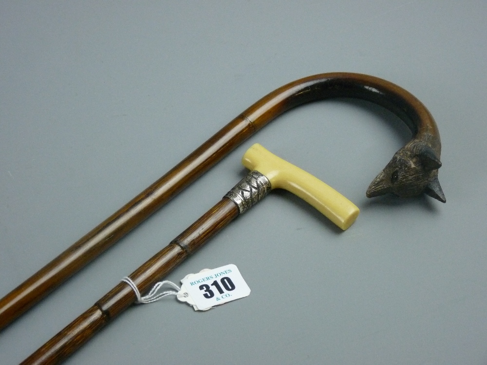 A polished, possibly holly, slender shafted walking stick having a carved fox head handle tip with